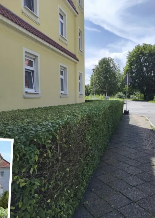 Frisch geschnittene Hecke vor einem Wohnhaus